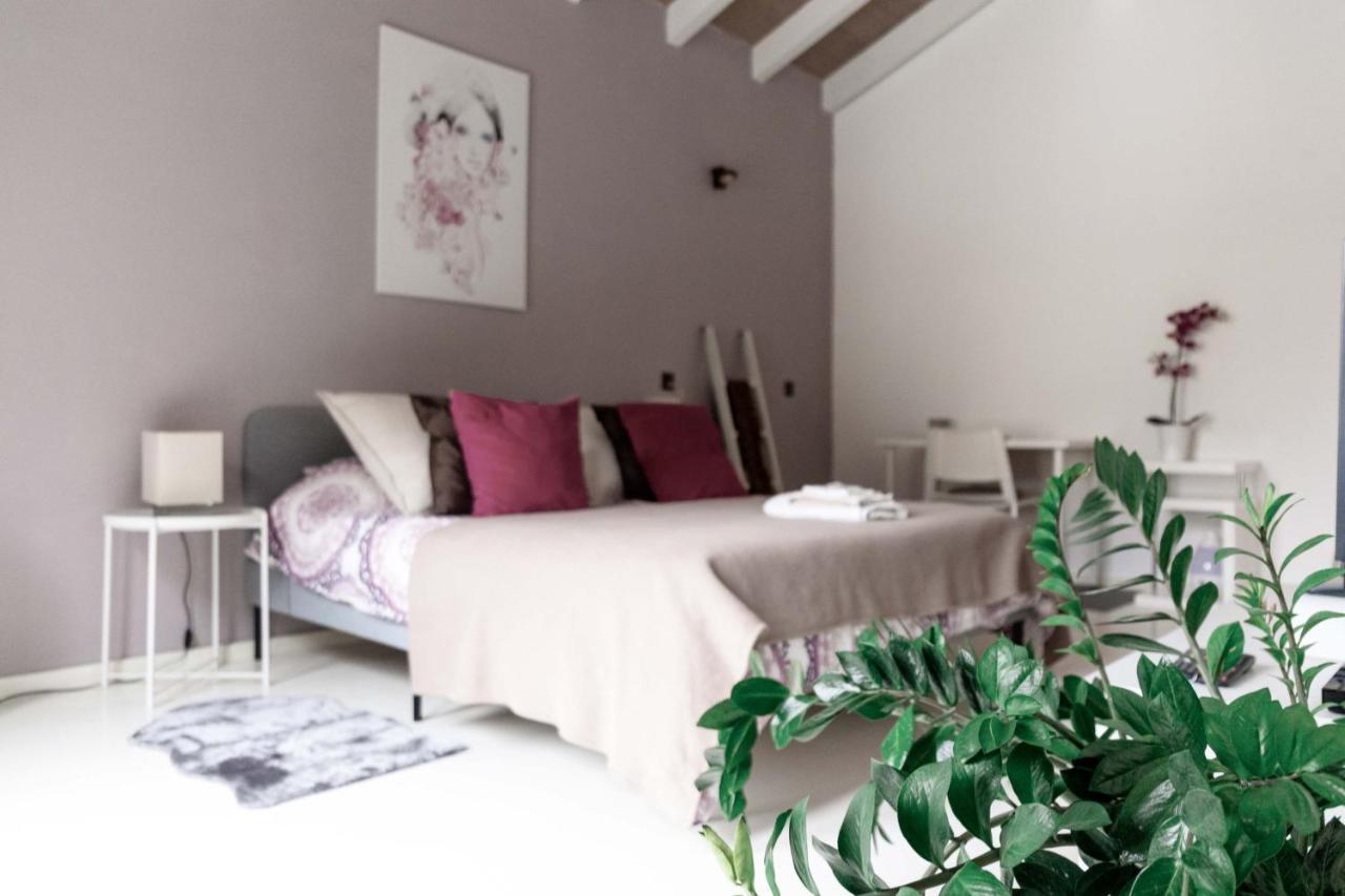 Brione sopra Minusio Casa Luna - Wonderful Lake View מראה חיצוני תמונה